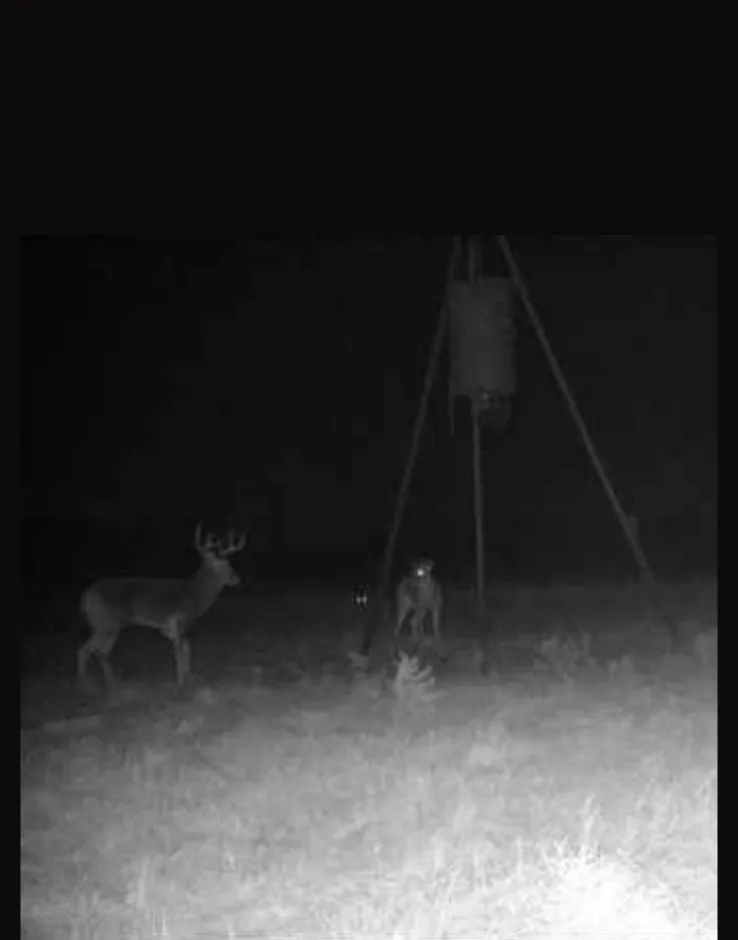 County Road 209 Wingate, TX 79566