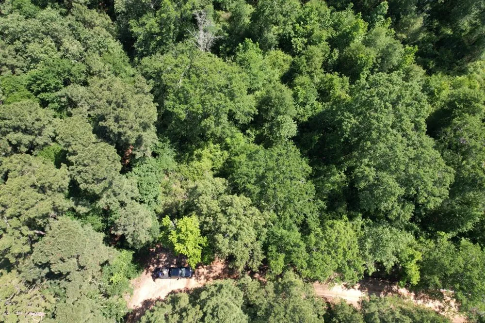 County Road 4021 Timpson, TX 75975