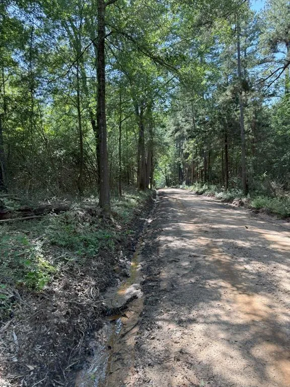 County Road 4021 Timpson, TX 75975