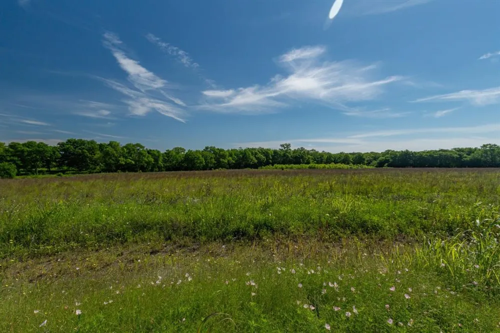 1625 Fm 904 S #ES Pecan Gap, TX 75469