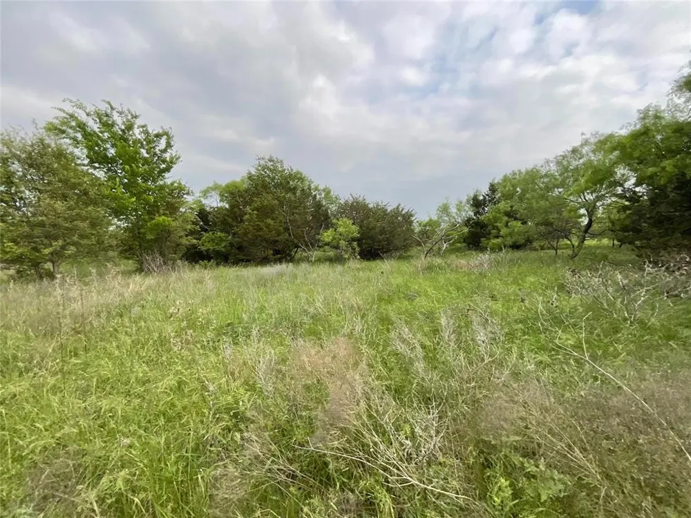 1024 Goodnight Trail Perrin, TX 76486