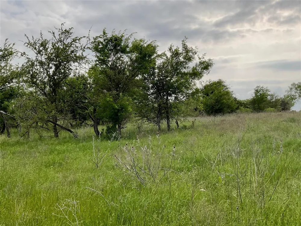 1024 Goodnight Trail Perrin, TX 76486