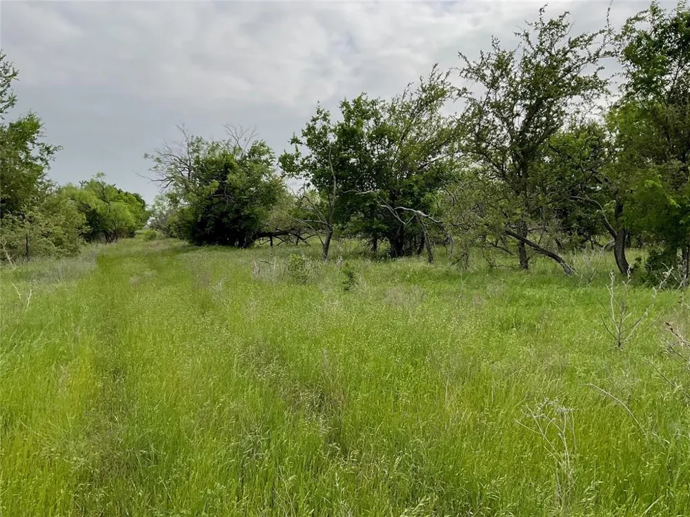 1024 Goodnight Trail Perrin, TX 76486
