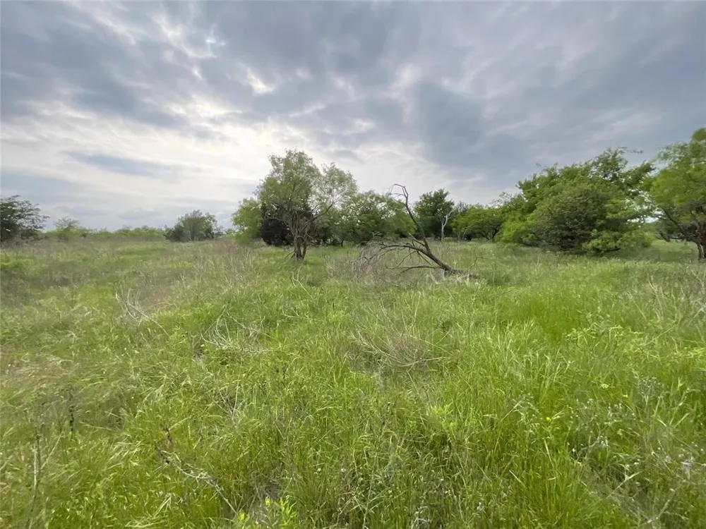 1024 Goodnight Trail Perrin, TX 76486