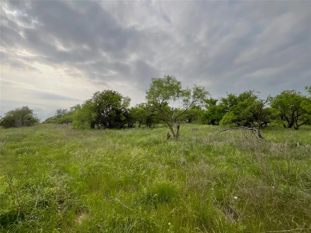 1024 Goodnight Trail Perrin, TX 76486