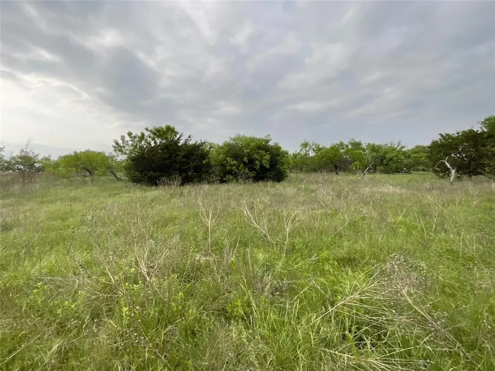 1024 Goodnight Trail Perrin, TX 76486