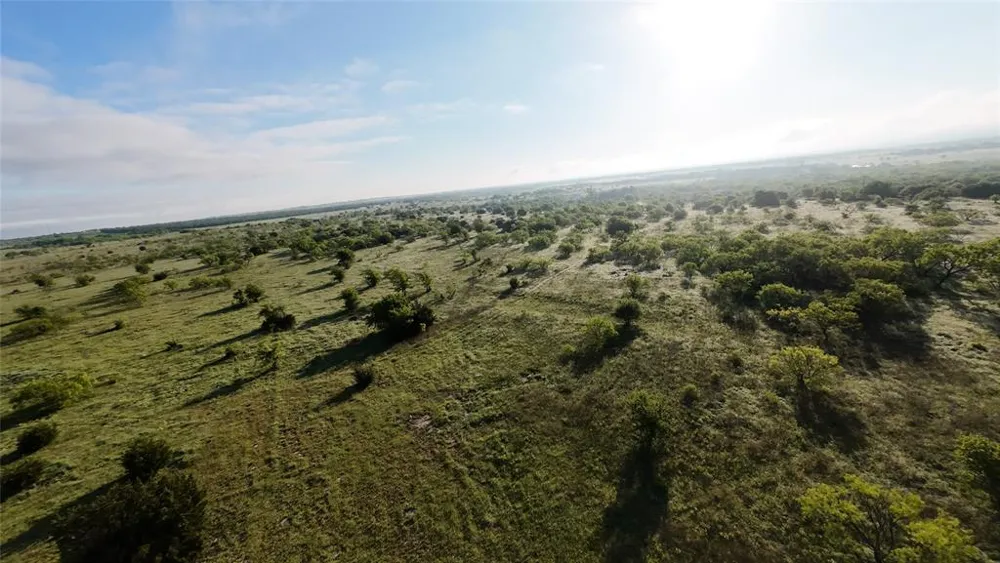 1024 Goodnight Trail Perrin, TX 76486