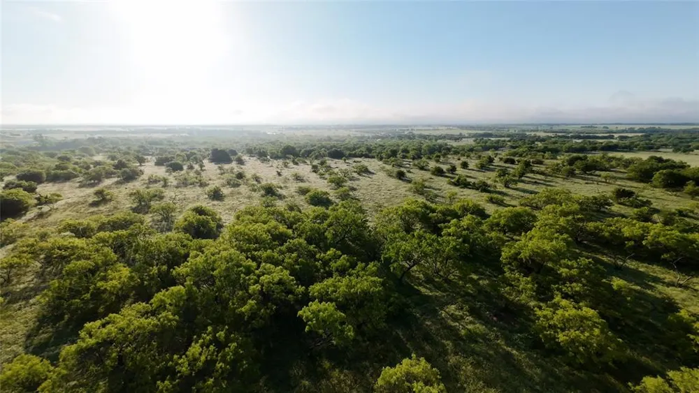 1024 Goodnight Trail Perrin, TX 76486