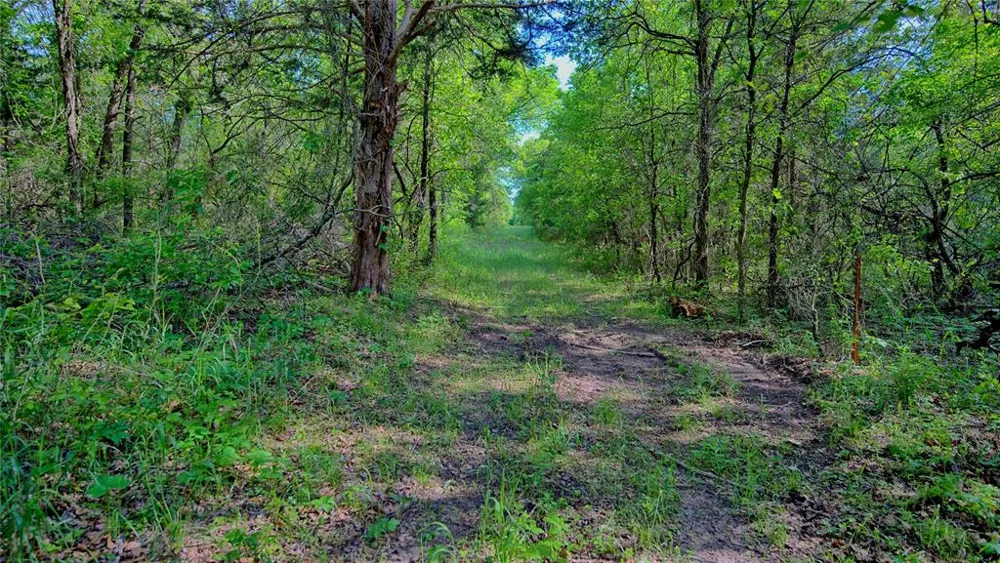 500 Starkey Ranch Rd St Jo, TX 76265