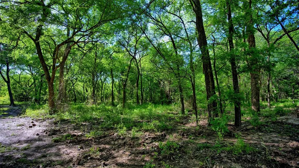 500 Starkey Ranch Rd St Jo, TX 76265