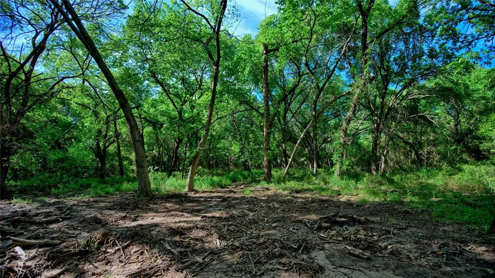 500 Starkey Ranch Rd St Jo, TX 76265