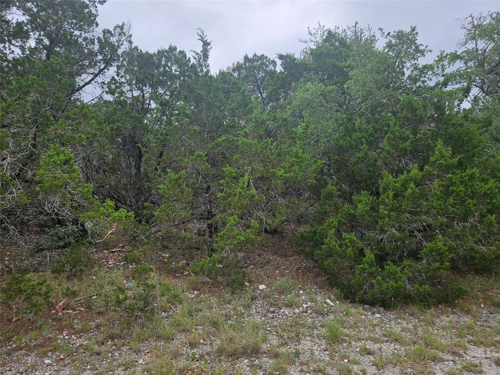 8113 Arroyo Avenue Lago Vista, TX 78645