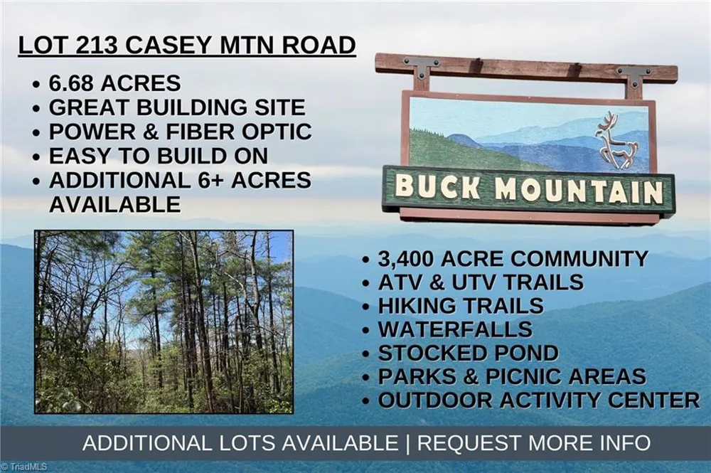 Lot 213 Casey Mountain Road Purlear, NC 28665