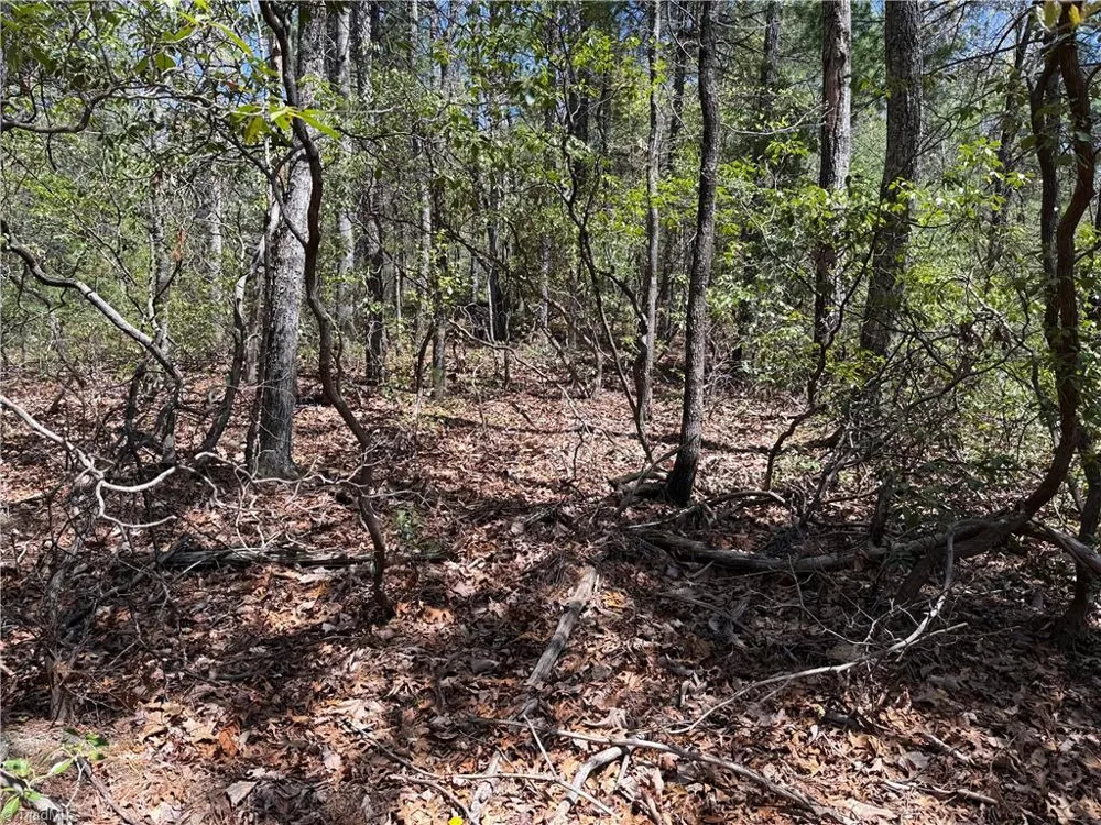 Lot 213 Casey Mountain Road Purlear, NC 28665