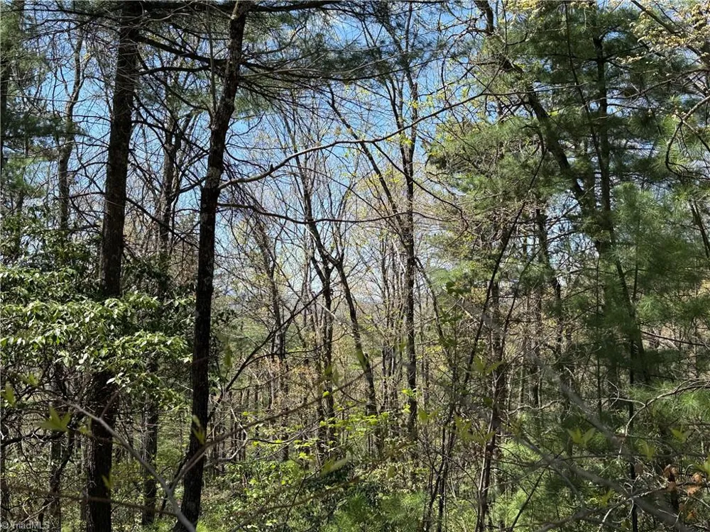 Lot 213 Casey Mountain Road Purlear, NC 28665