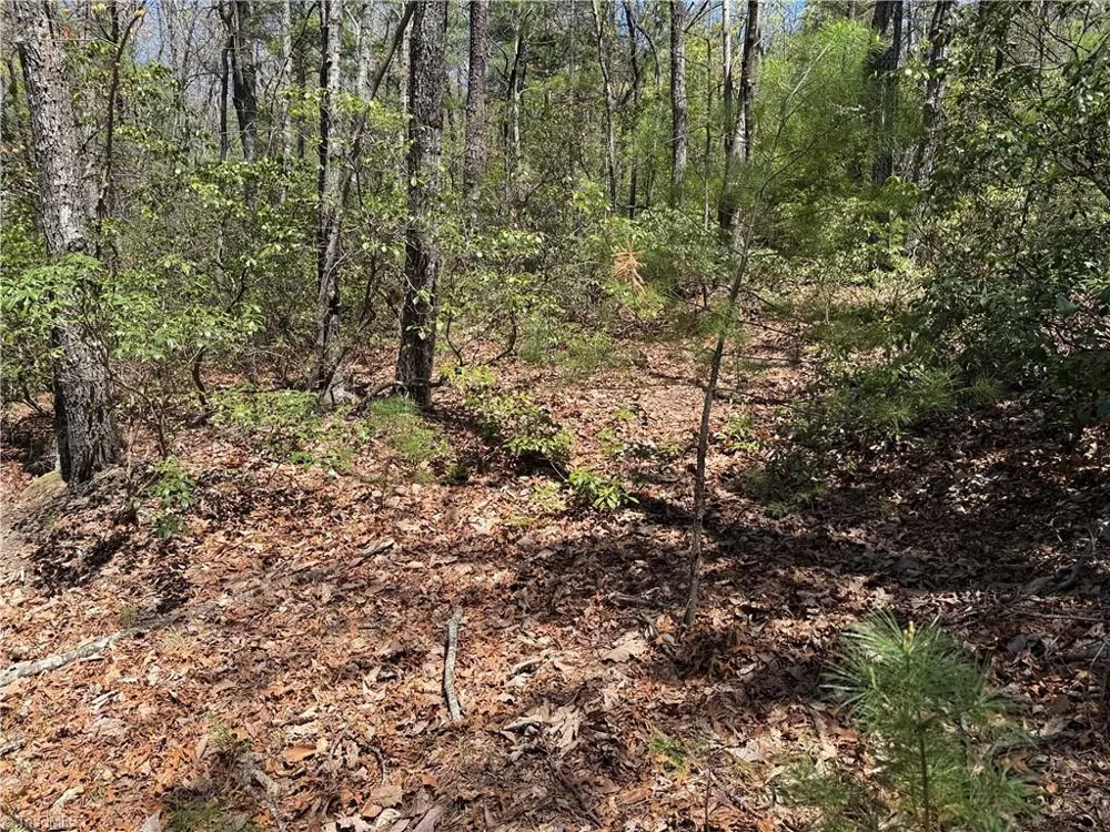 Lot 213 Casey Mountain Road Purlear, NC 28665