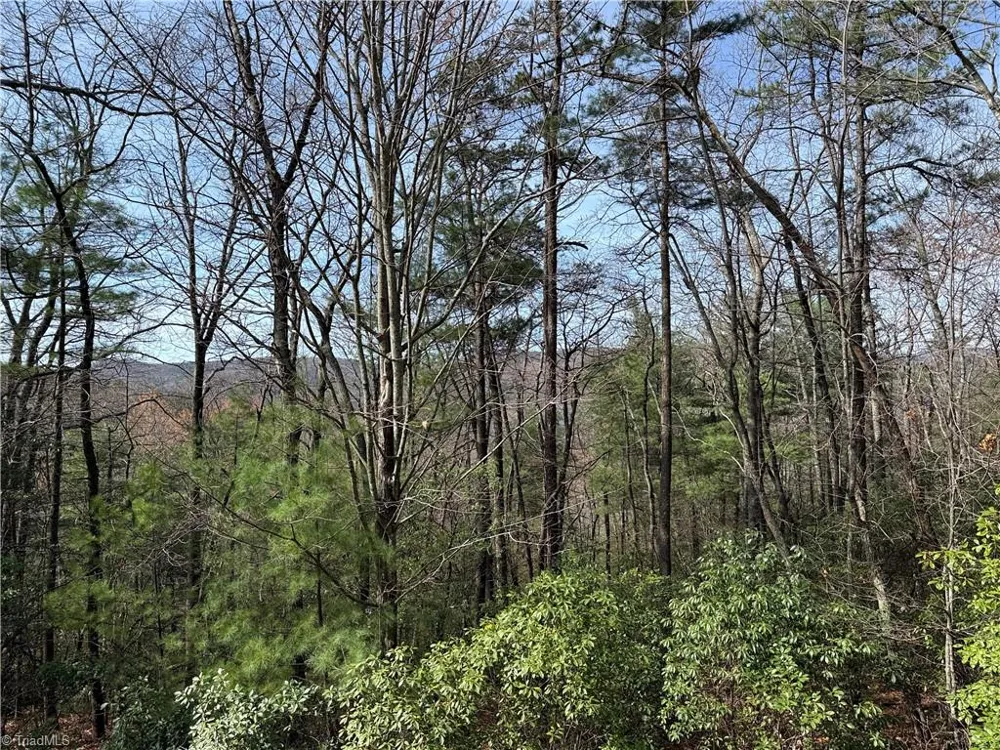 Lot 213 Casey Mountain Road Purlear, NC 28665