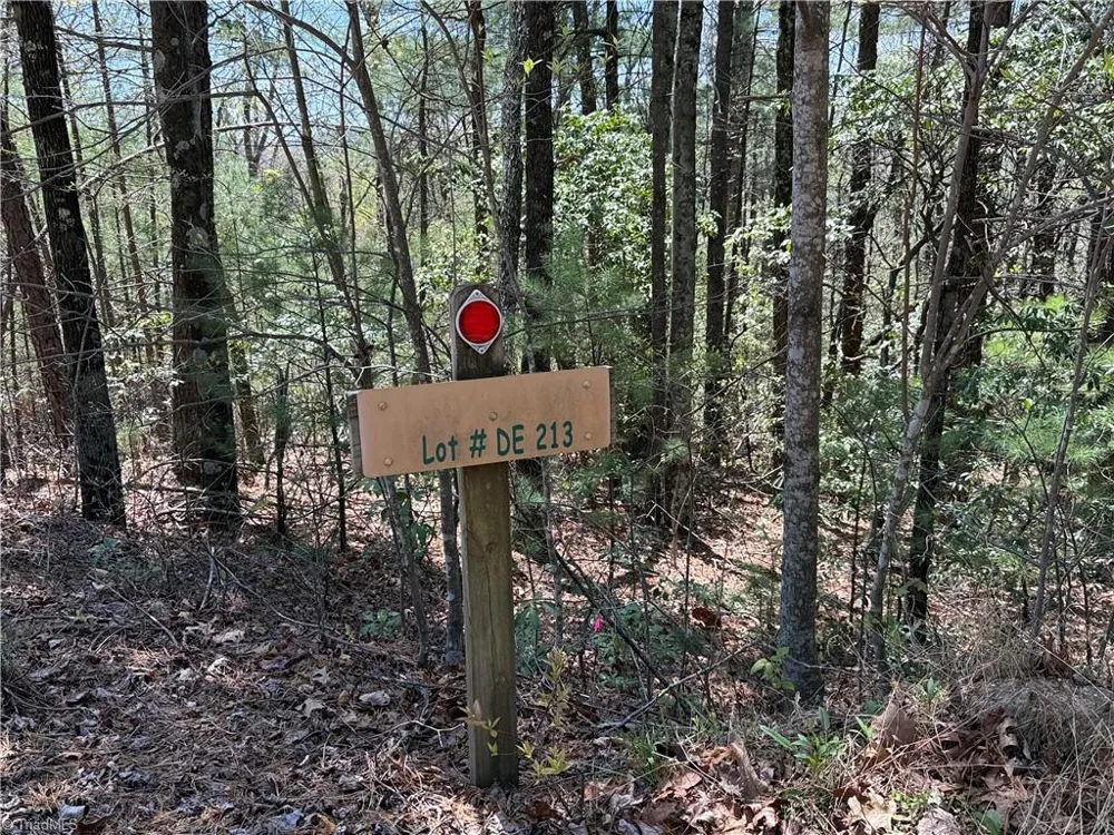 Lot 213 Casey Mountain Road Purlear, NC 28665