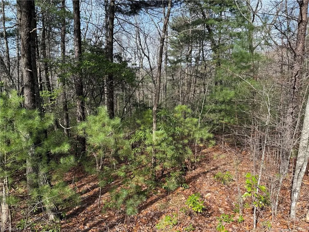 Lot 213 Casey Mountain Road Purlear, NC 28665