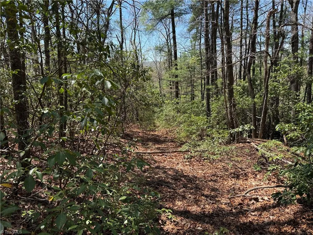 Lot 213 Casey Mountain Road Purlear, NC 28665