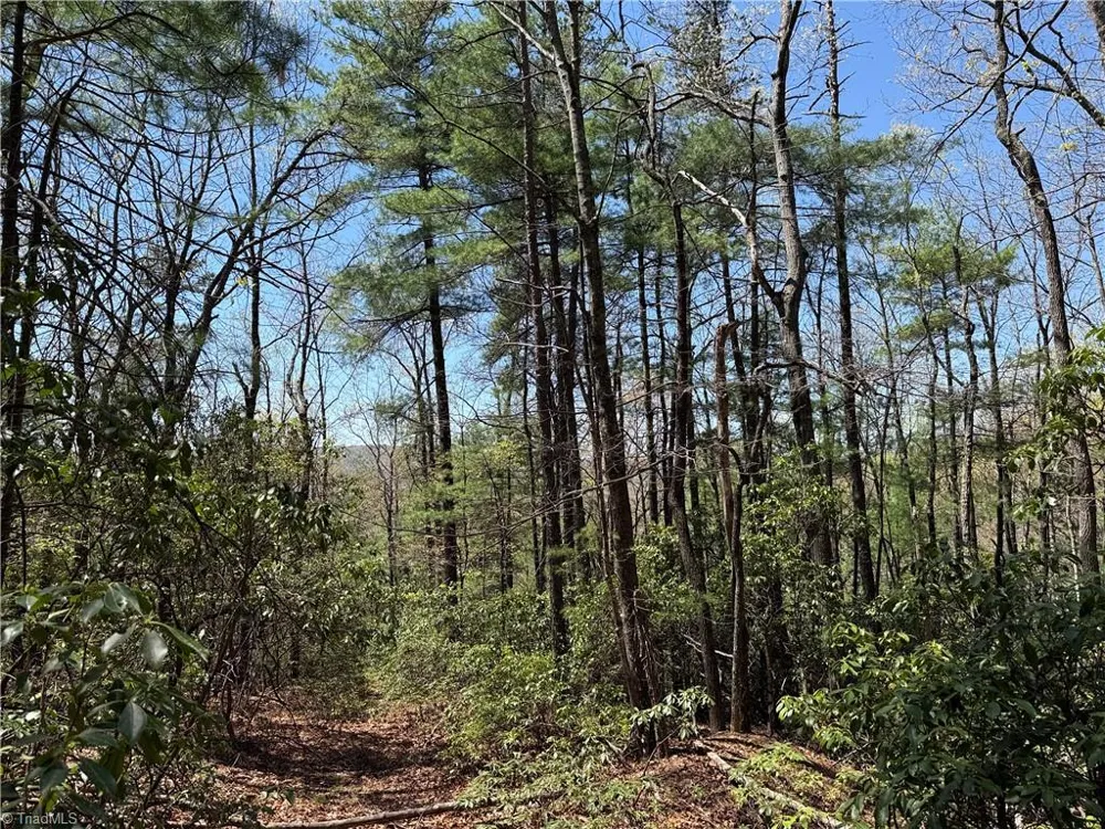 Lot 213 Casey Mountain Road Purlear, NC 28665