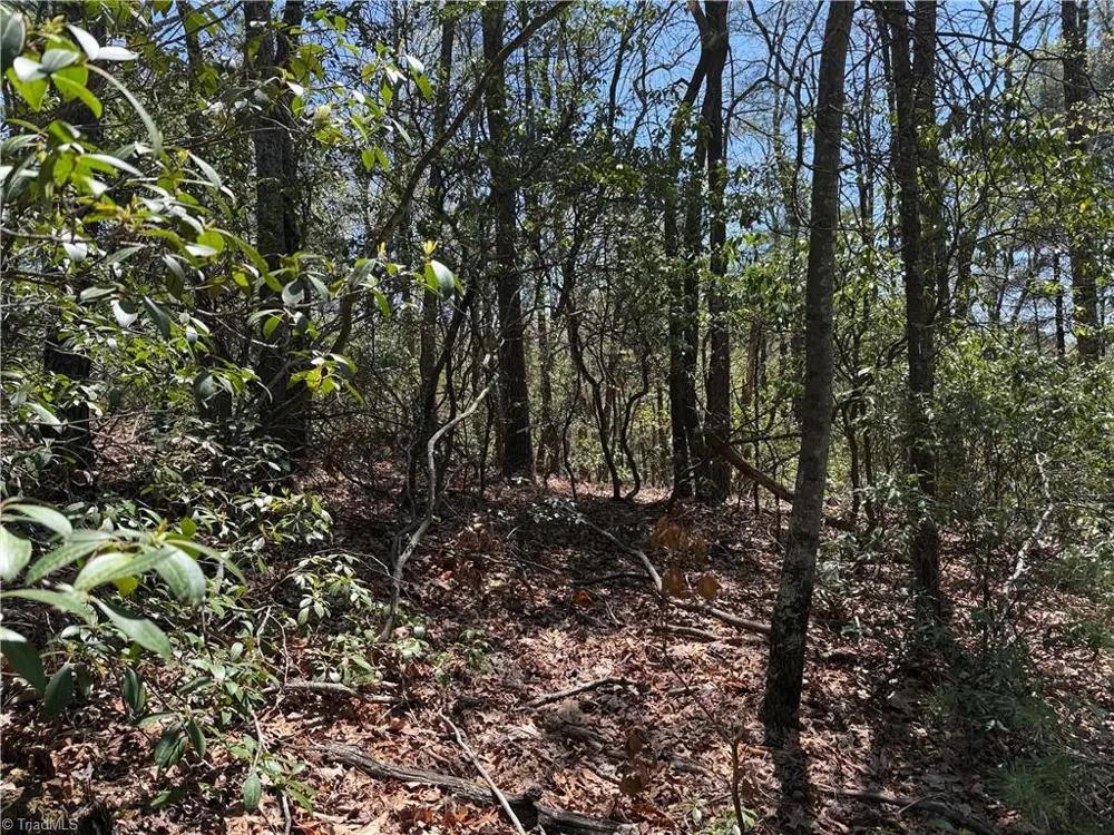 Lot 213 Casey Mountain Road Purlear, NC 28665