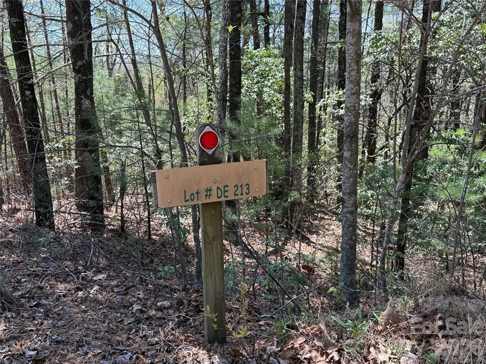 TBD Casey Mountain Road #213 Purlear, NC 28665