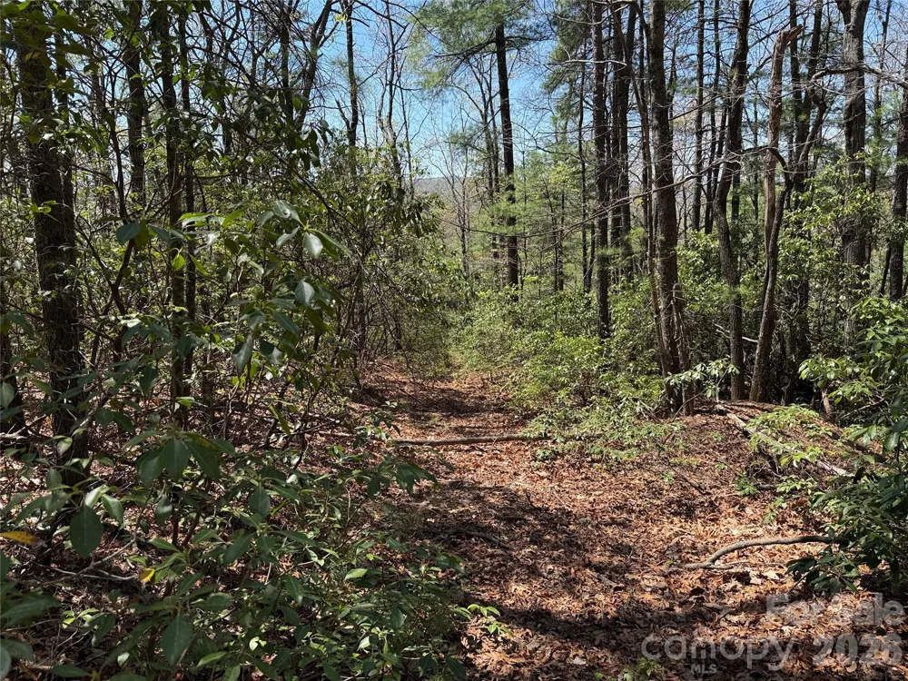 TBD Casey Mountain Road #213 Purlear, NC 28665