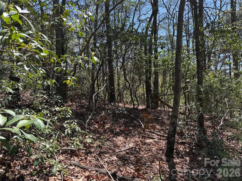 TBD Casey Mountain Road #213 Purlear, NC 28665