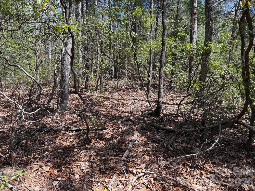 TBD Casey Mountain Road #213 Purlear, NC 28665