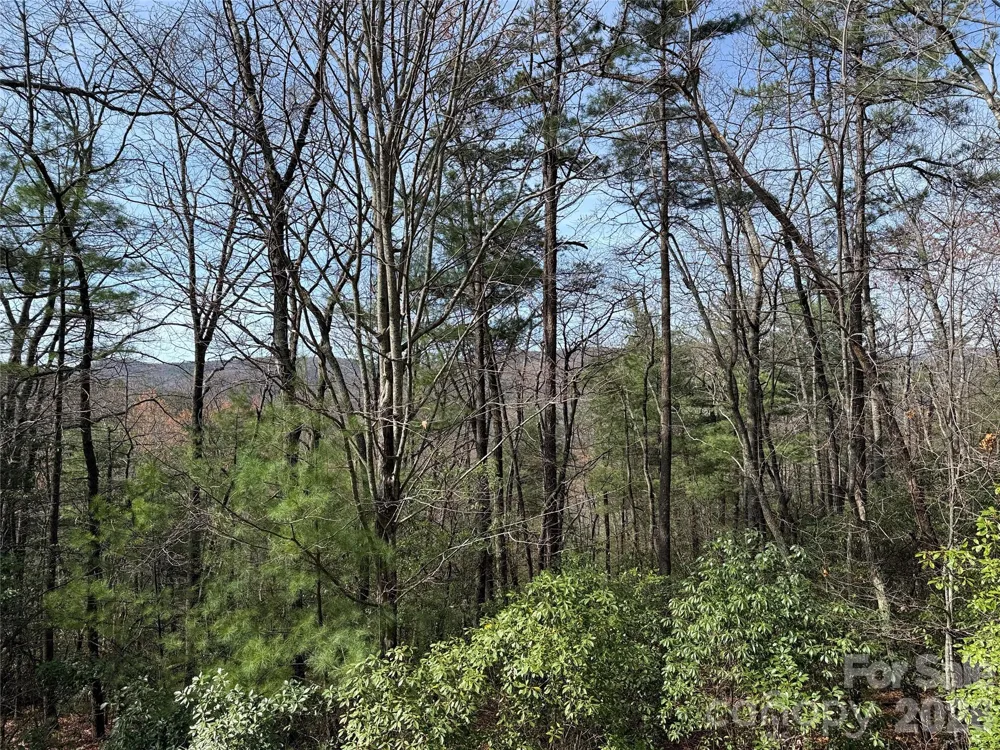 TBD Casey Mountain Road #213 Purlear, NC 28665