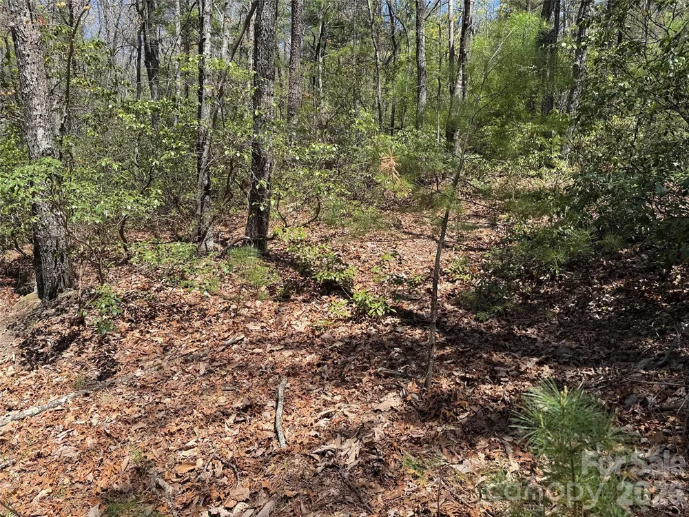 TBD Casey Mountain Road #213 Purlear, NC 28665