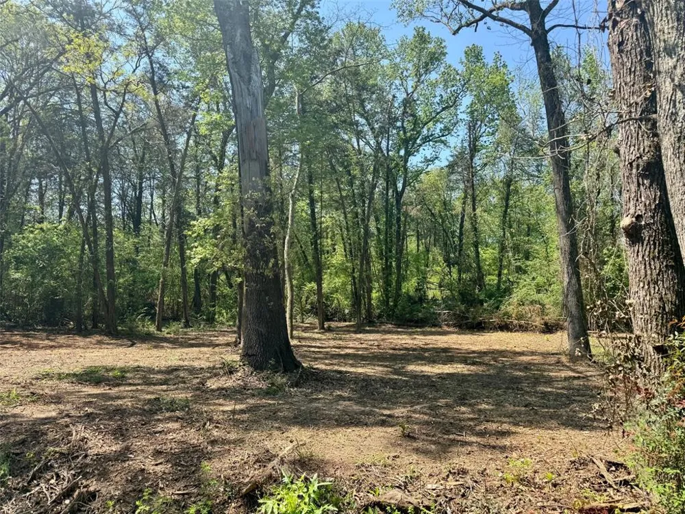 CR 4365 Mt Pleasant, TX 75455