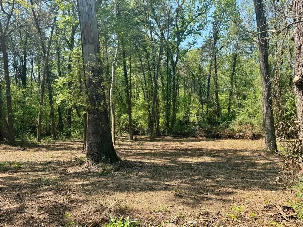 CR 4365 Mt Pleasant, TX 75455