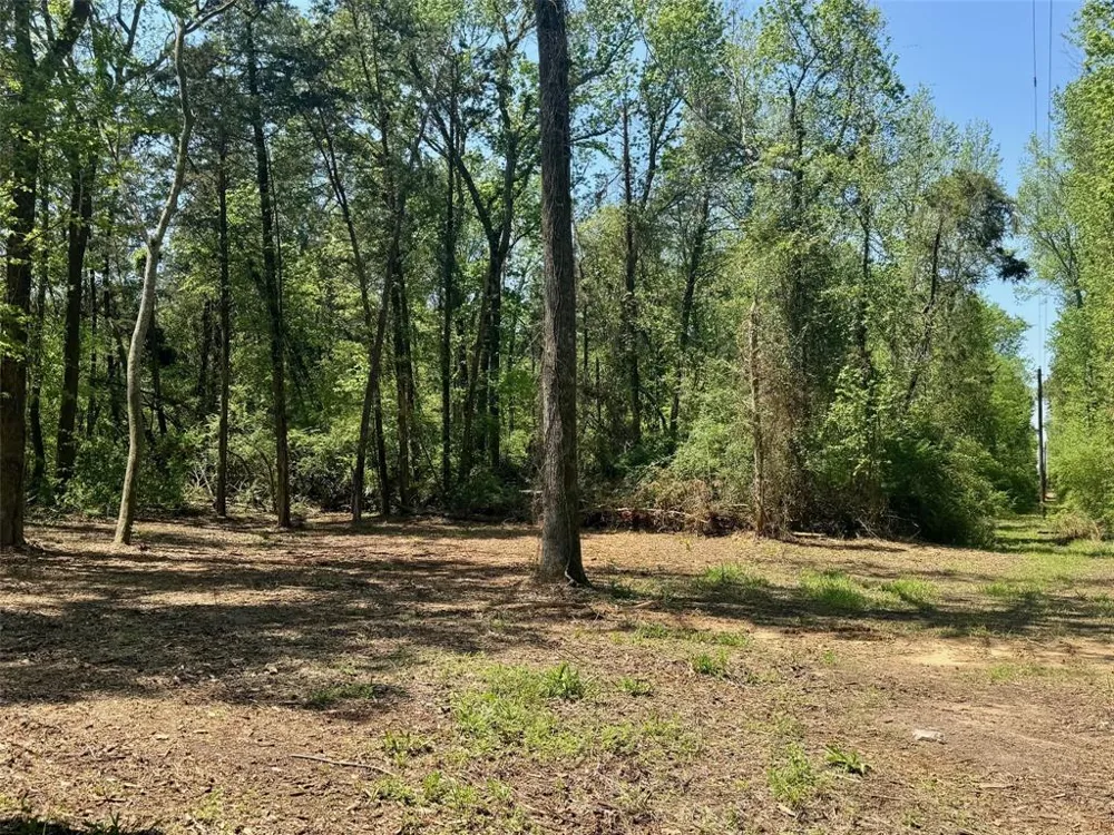 CR 4365 Mt Pleasant, TX 75455
