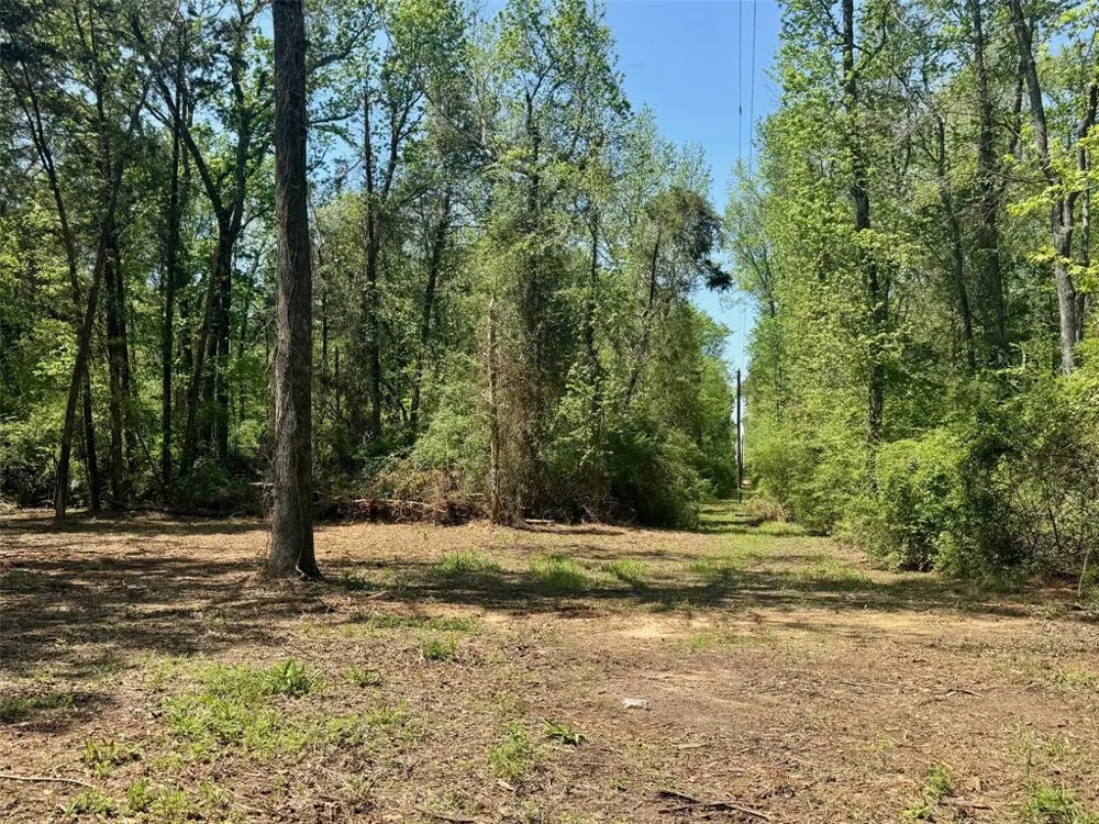CR 4365 Mt Pleasant, TX 75455