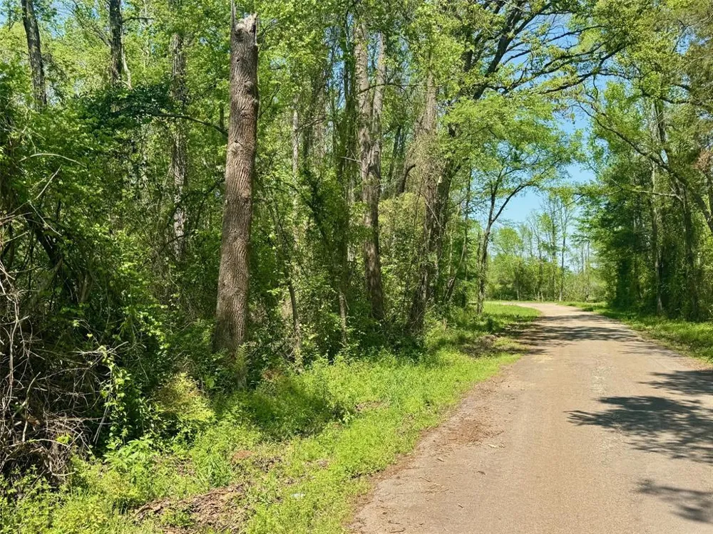 CR 4365 Mt Pleasant, TX 75455