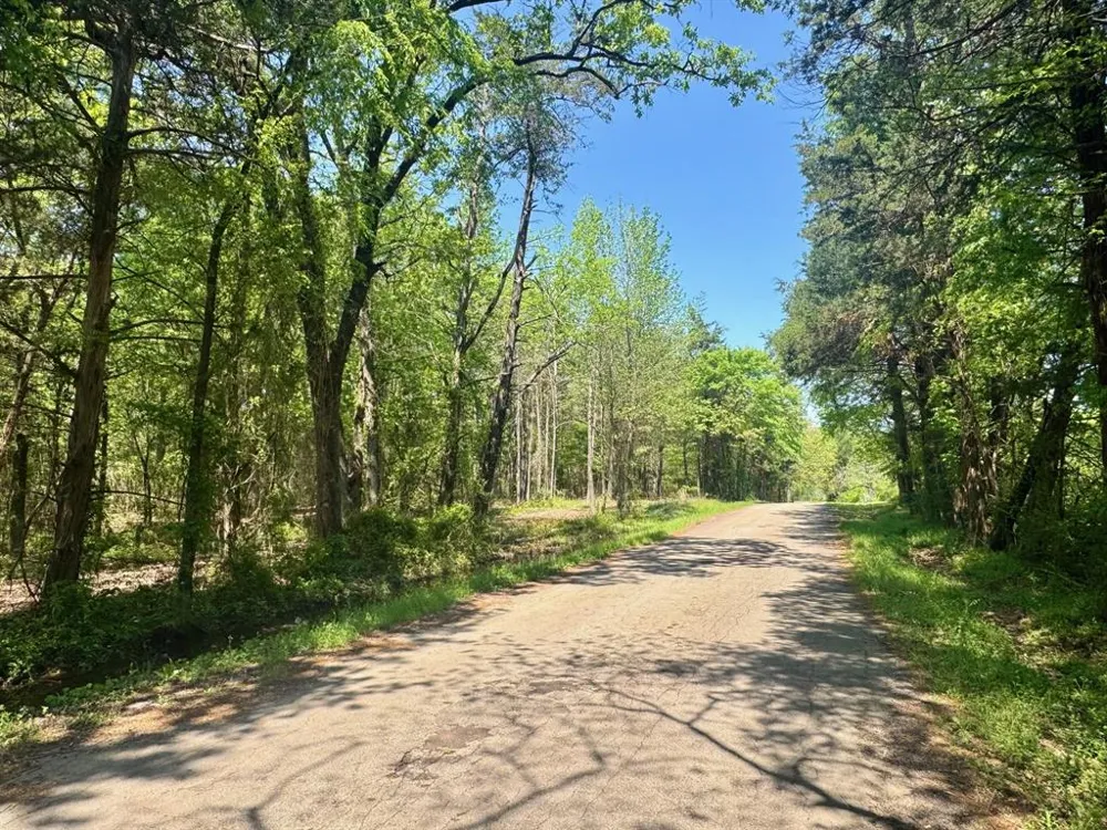 CR 4365 Mt Pleasant, TX 75455