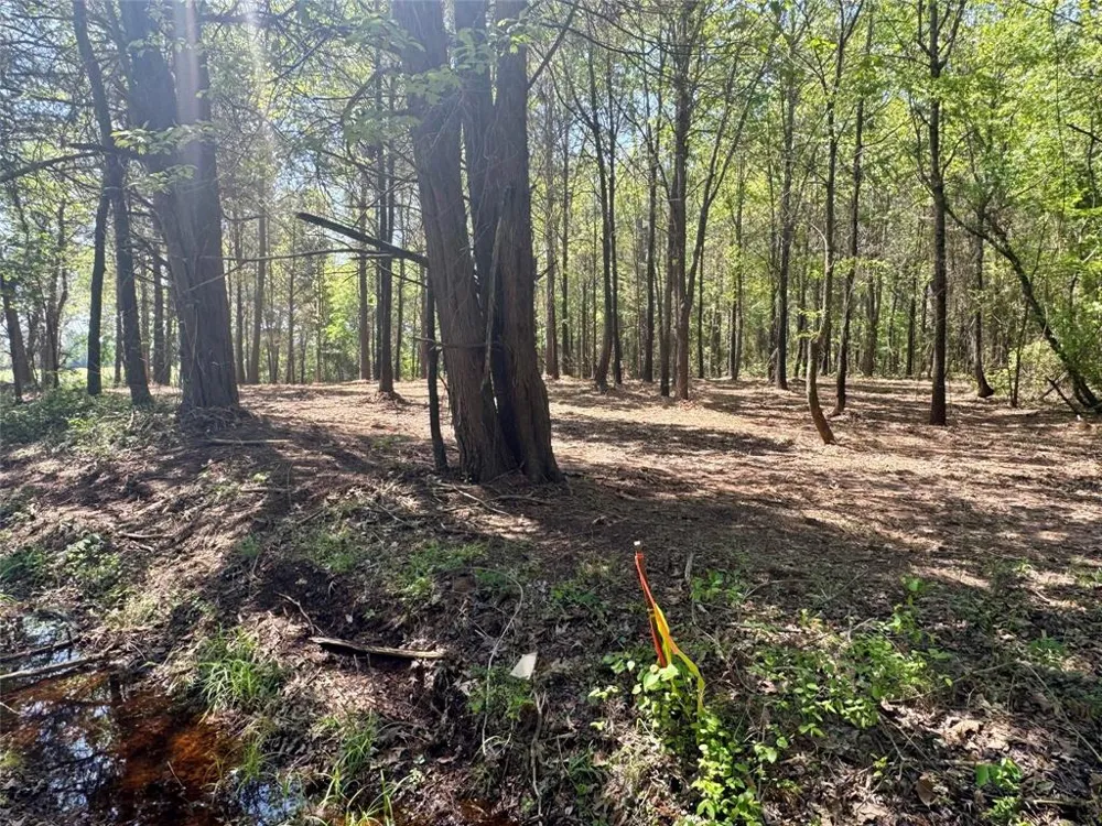 CR 4365 Mt Pleasant, TX 75455