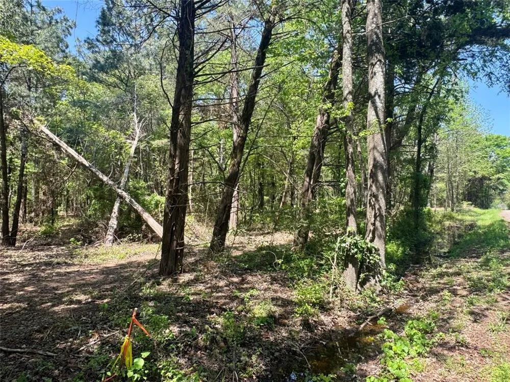CR 4365 Mt Pleasant, TX 75455