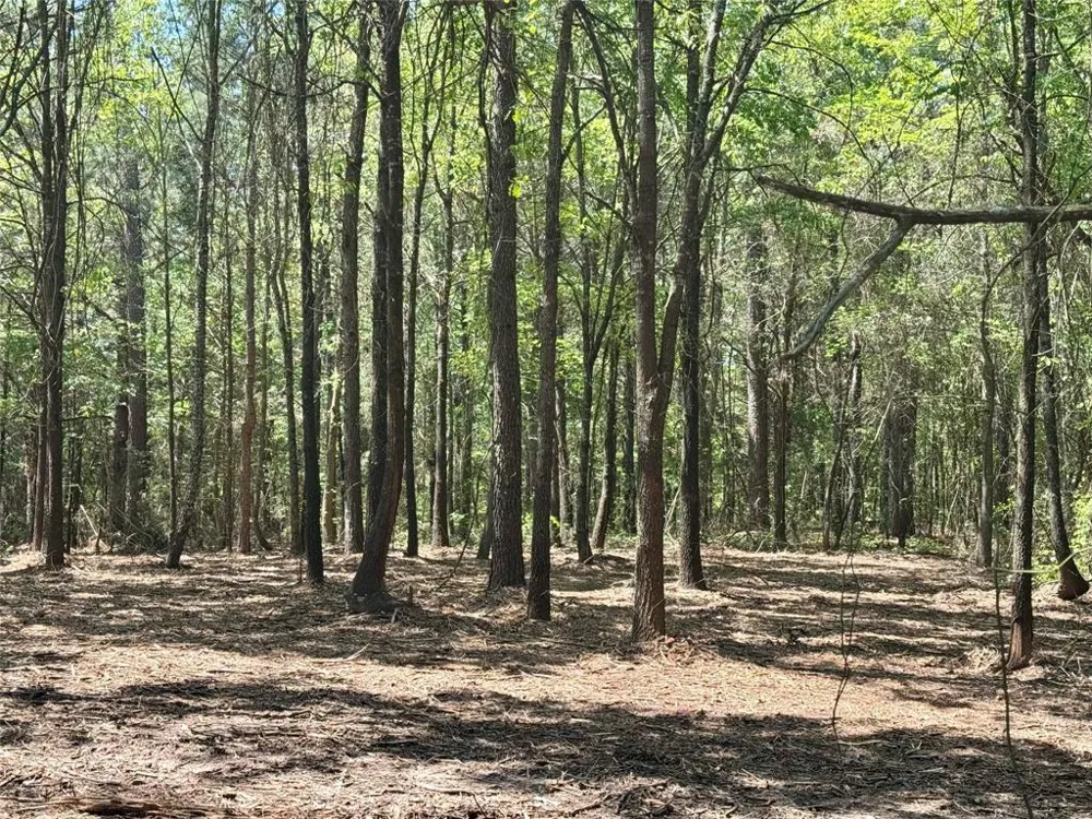 CR 4365 Mt Pleasant, TX 75455