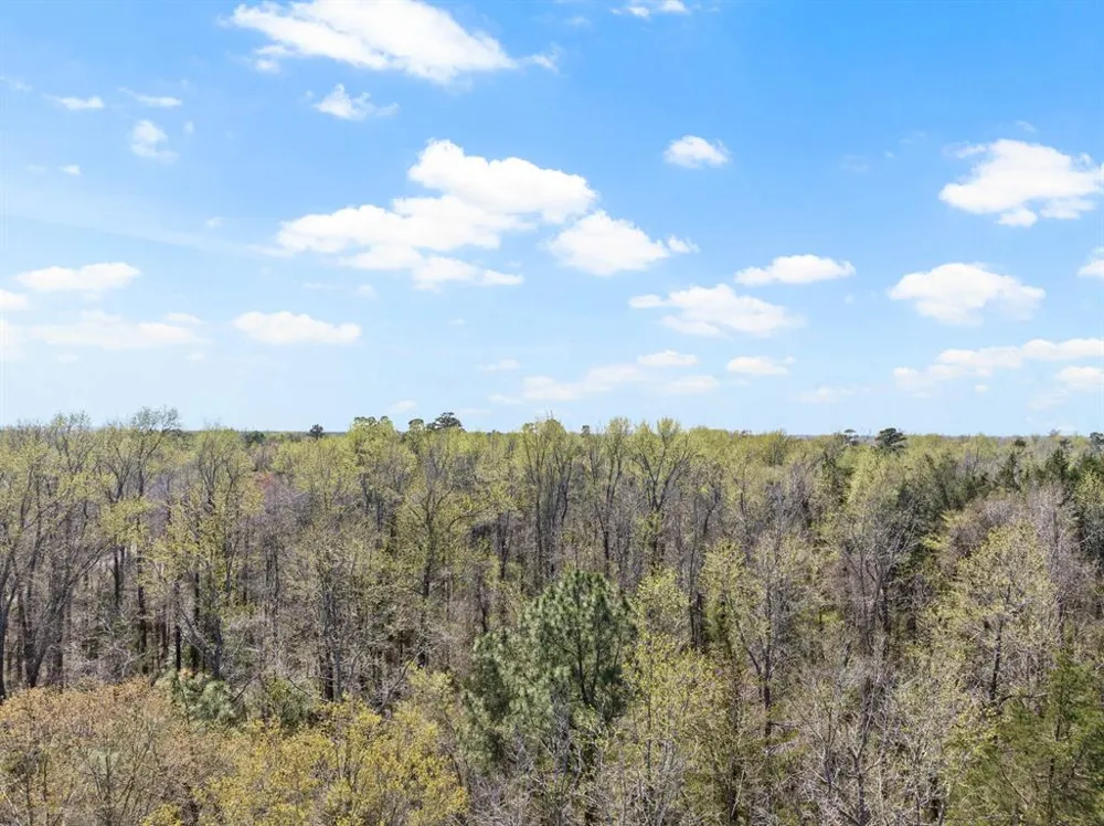 CR 4365 Mt Pleasant, TX 75455