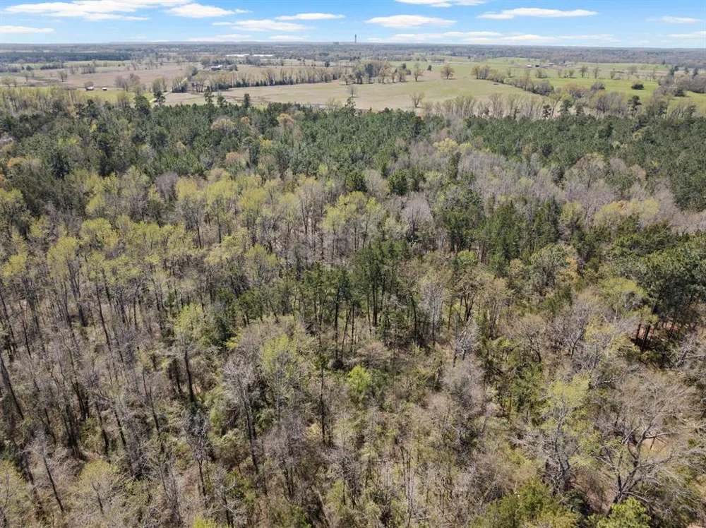 CR 4365 Mt Pleasant, TX 75455
