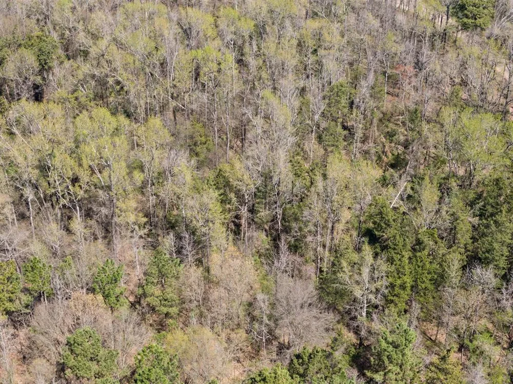 CR 4365 Mt Pleasant, TX 75455