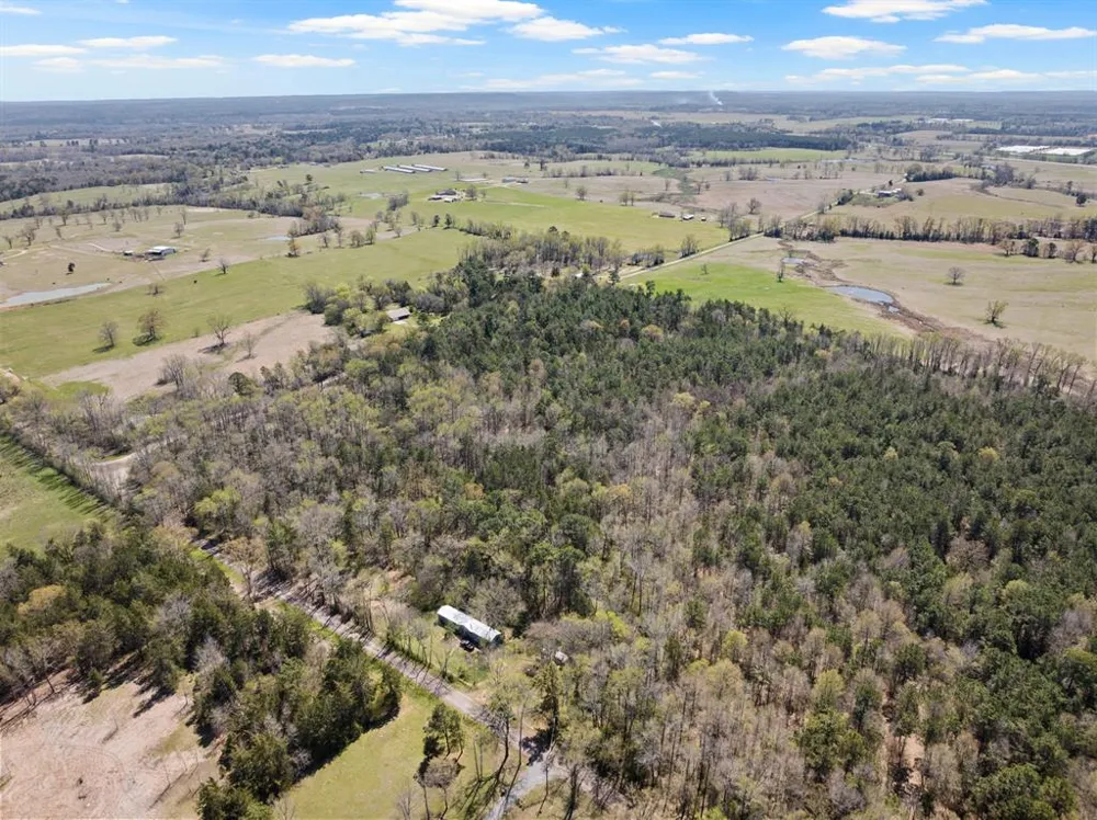 CR 4365 Mt Pleasant, TX 75455