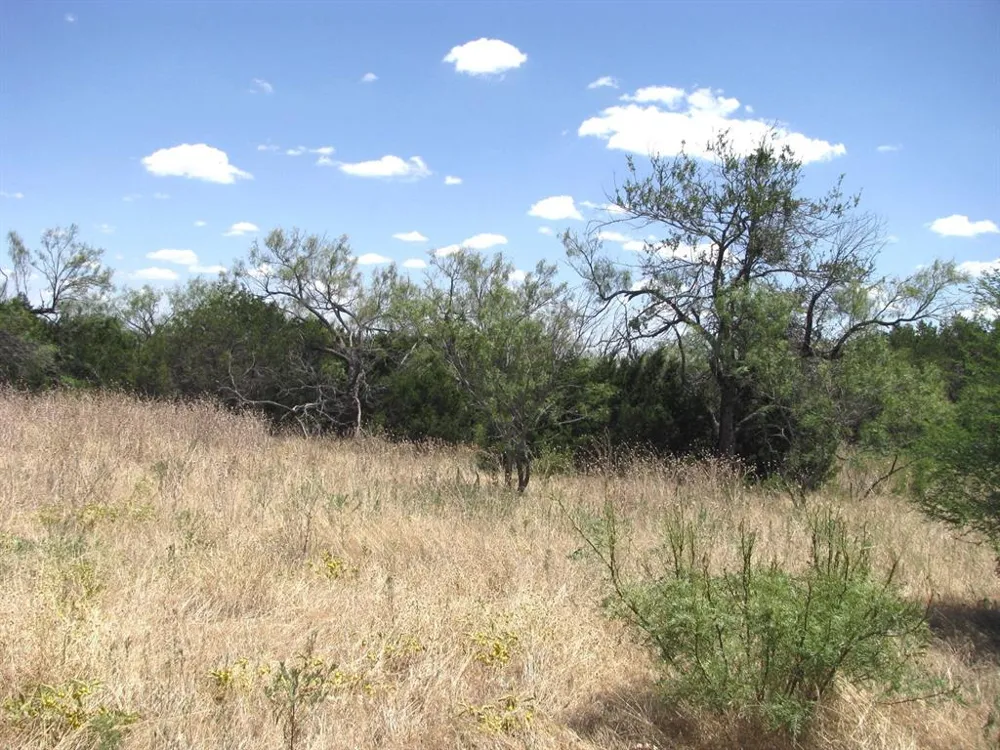 PR4218 Evant, TX 76525