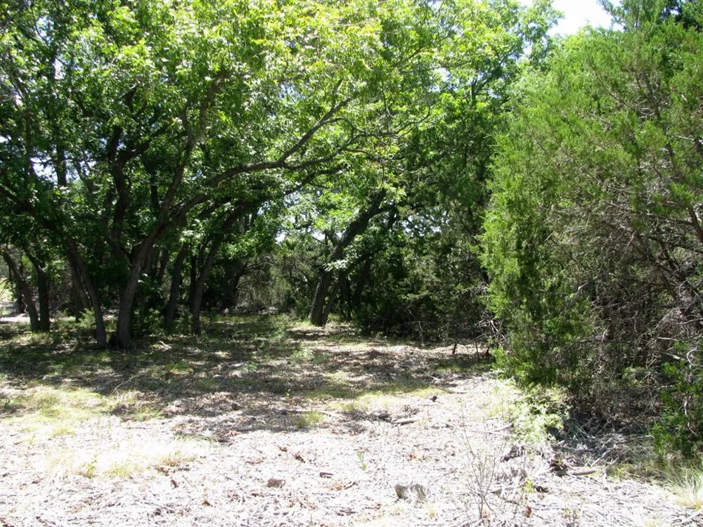 PR4218 Evant, TX 76525