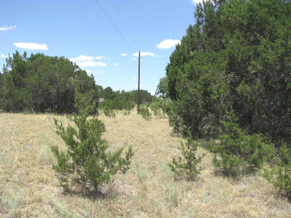 PR4218 Evant, TX 76525