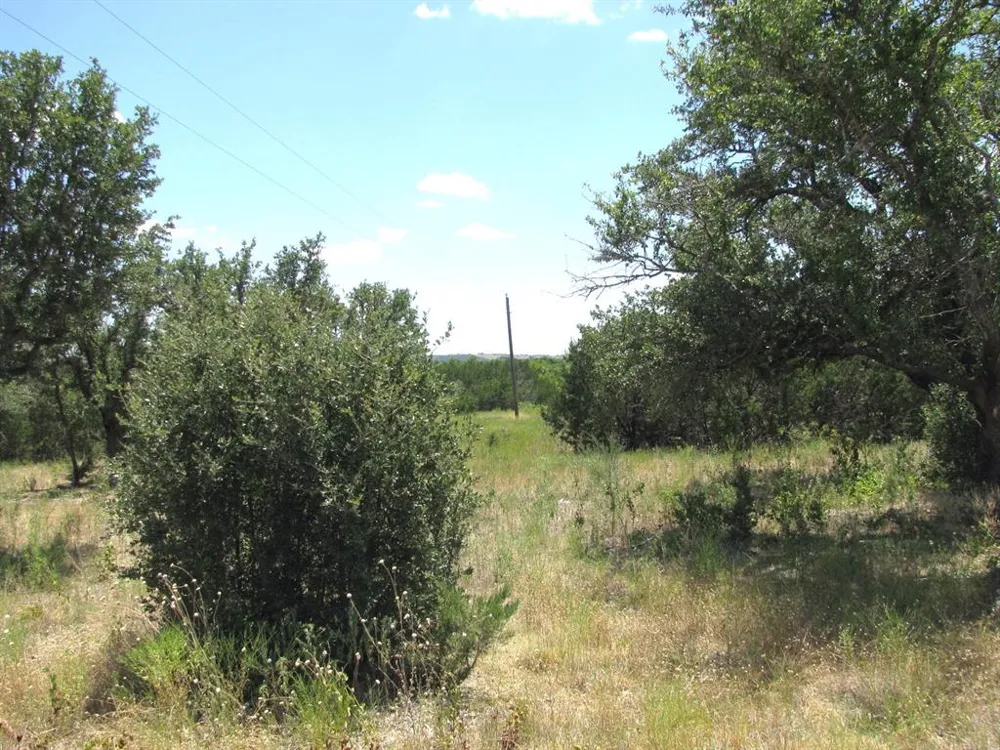 PR4218 Evant, TX 76525