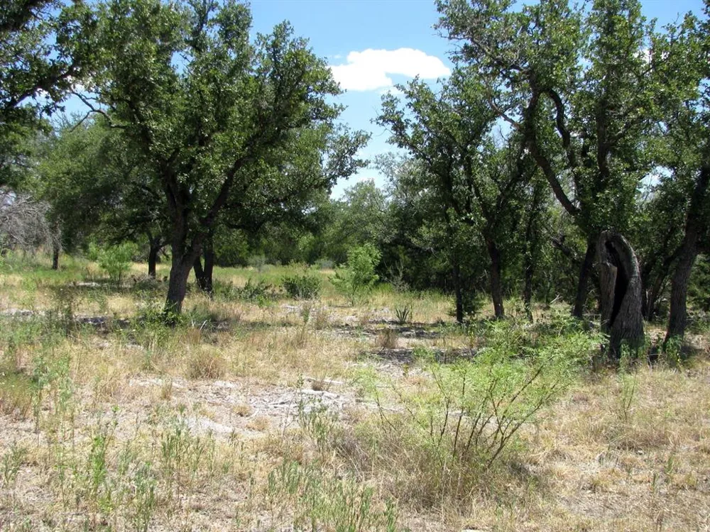 PR4218 Evant, TX 76525